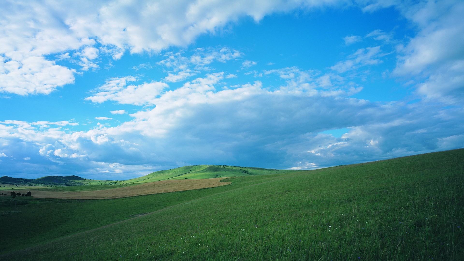 这些日子出生的女人,总是能逢凶化吉,遇难呈祥,一生无忧!