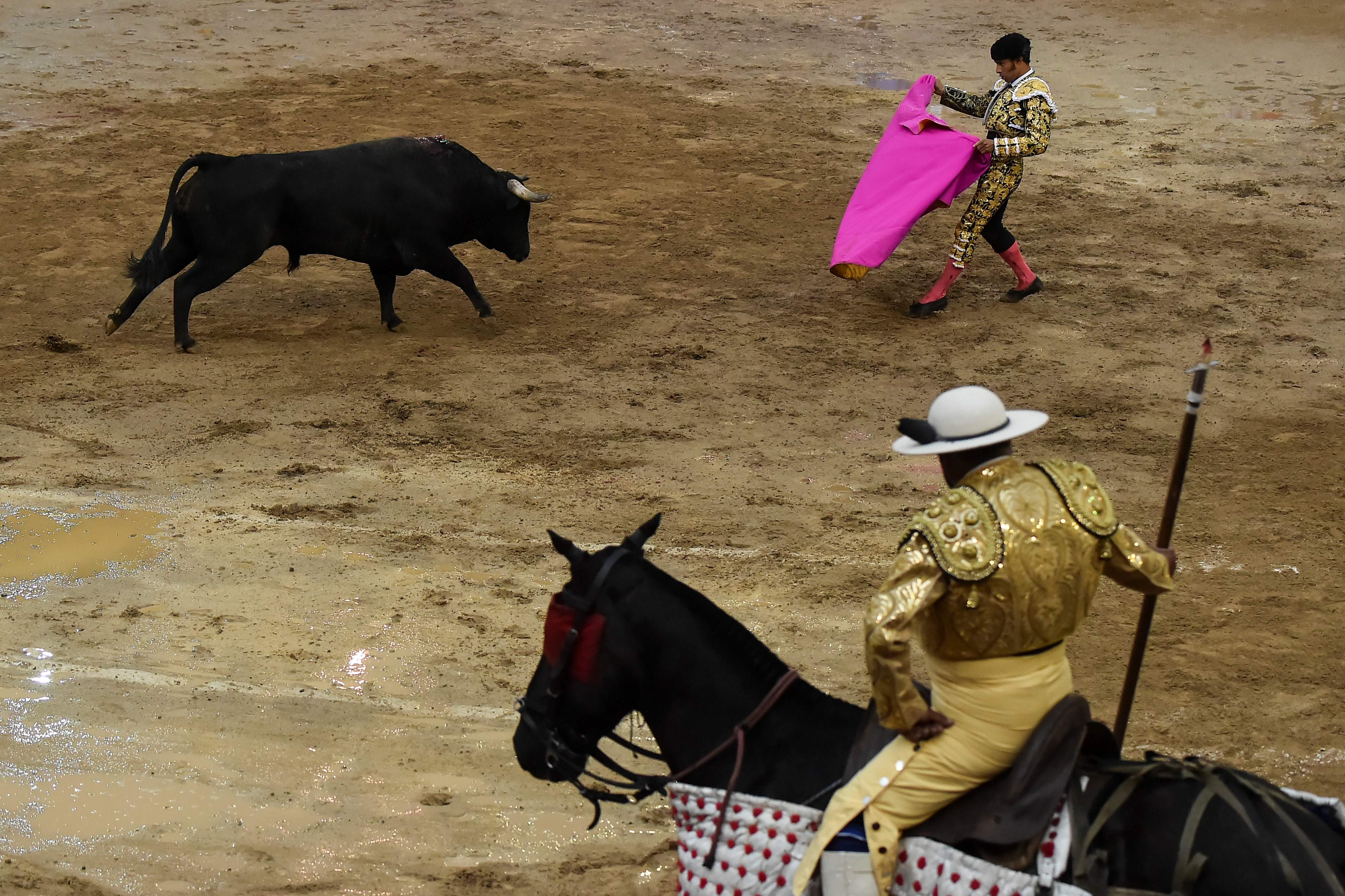 [1](外代二线)斗牛士