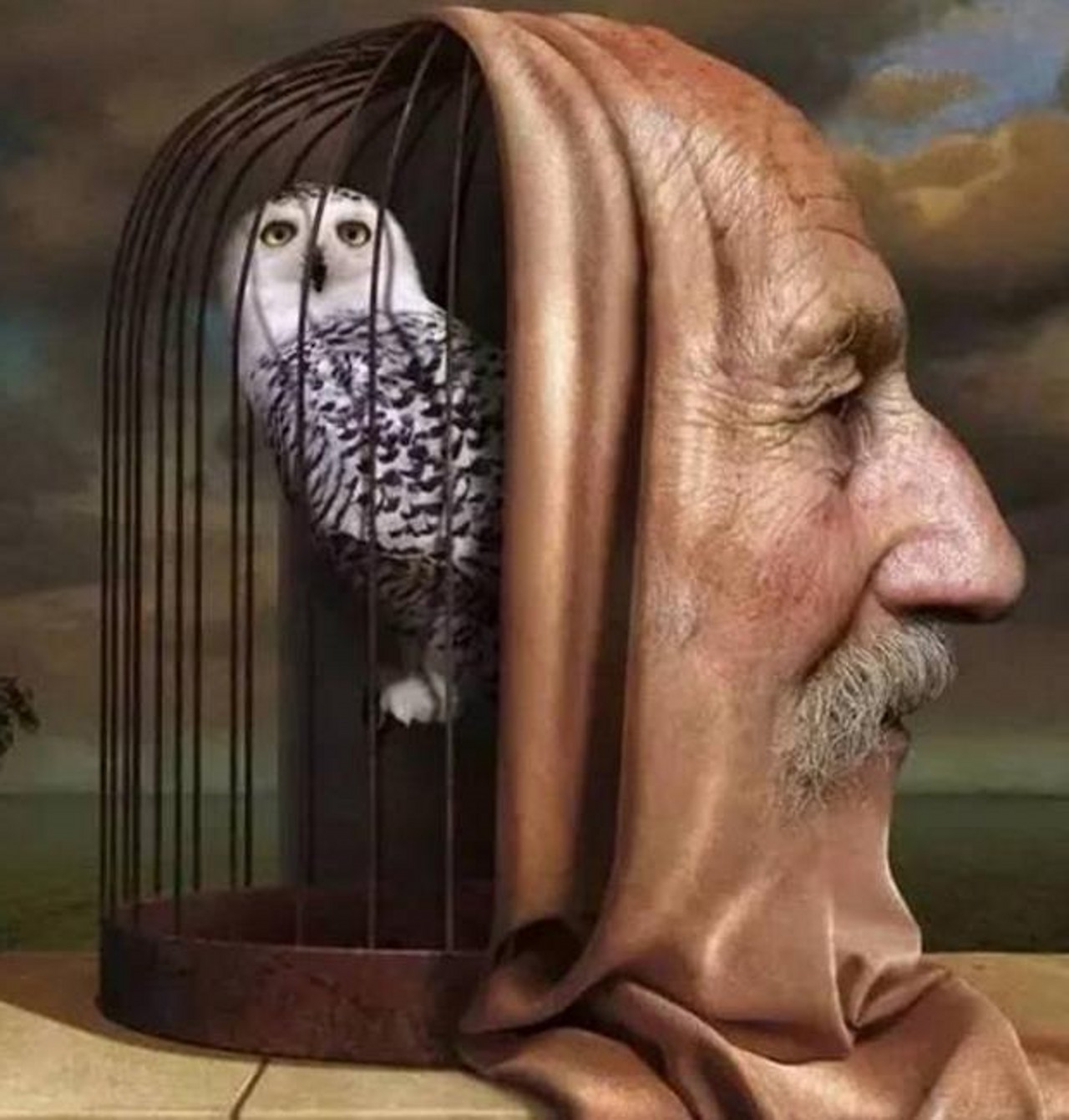 4张赤裸裸的人性图,深刻反映人性,既现实又扎心!我们的居住地