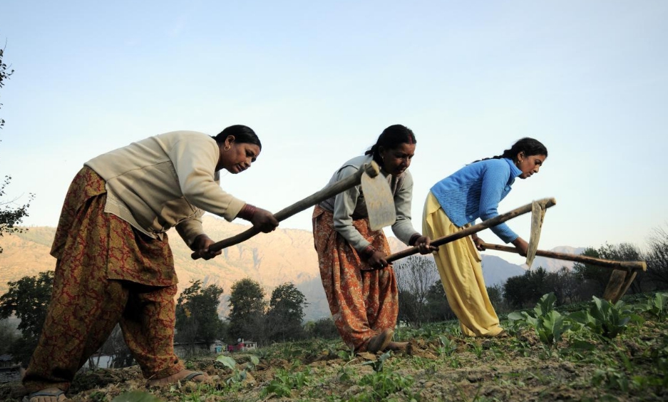 印度农民生活的真是写照,生活不易,请珍惜好的生活!