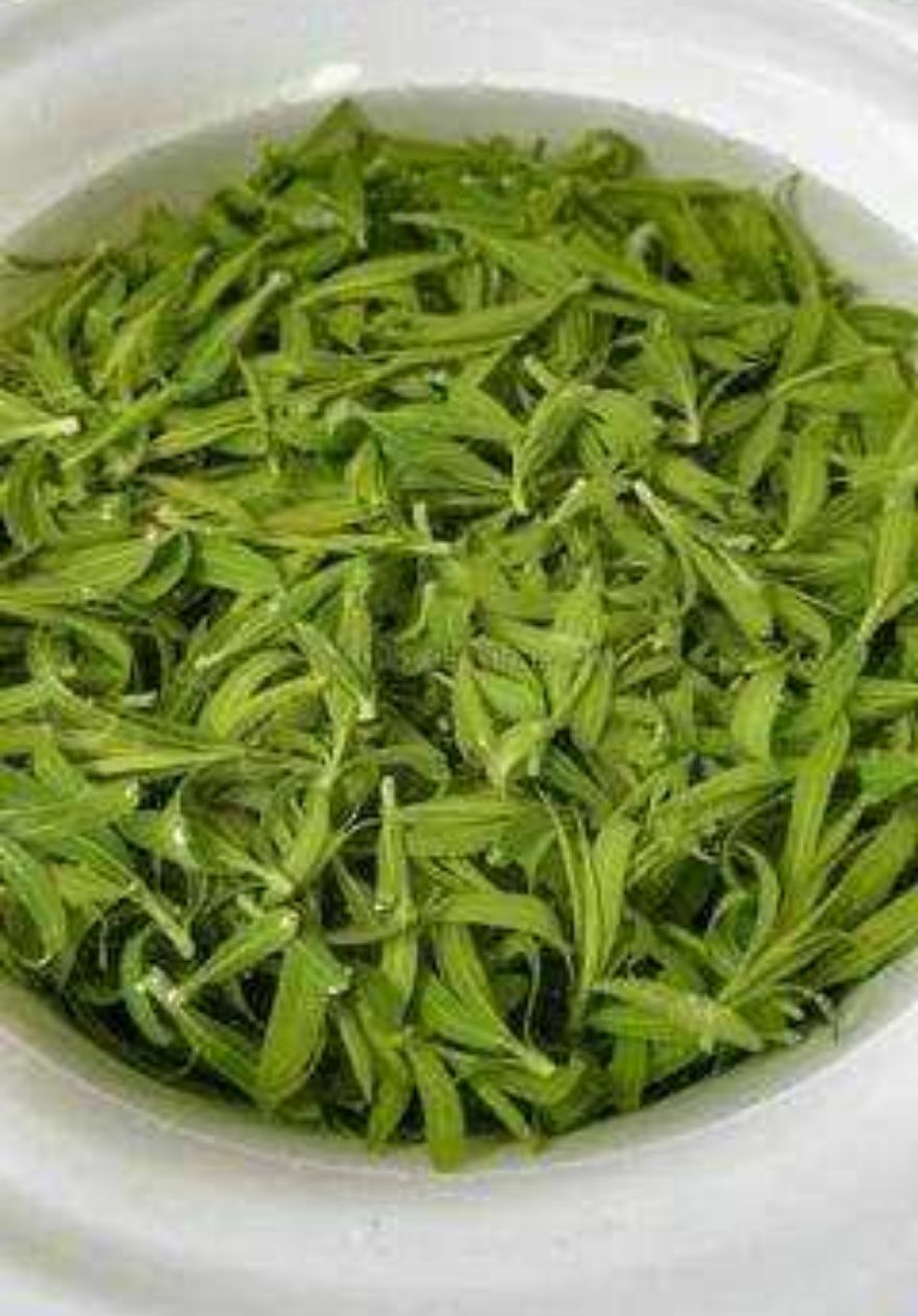 原创 凉拌的柳芽菜