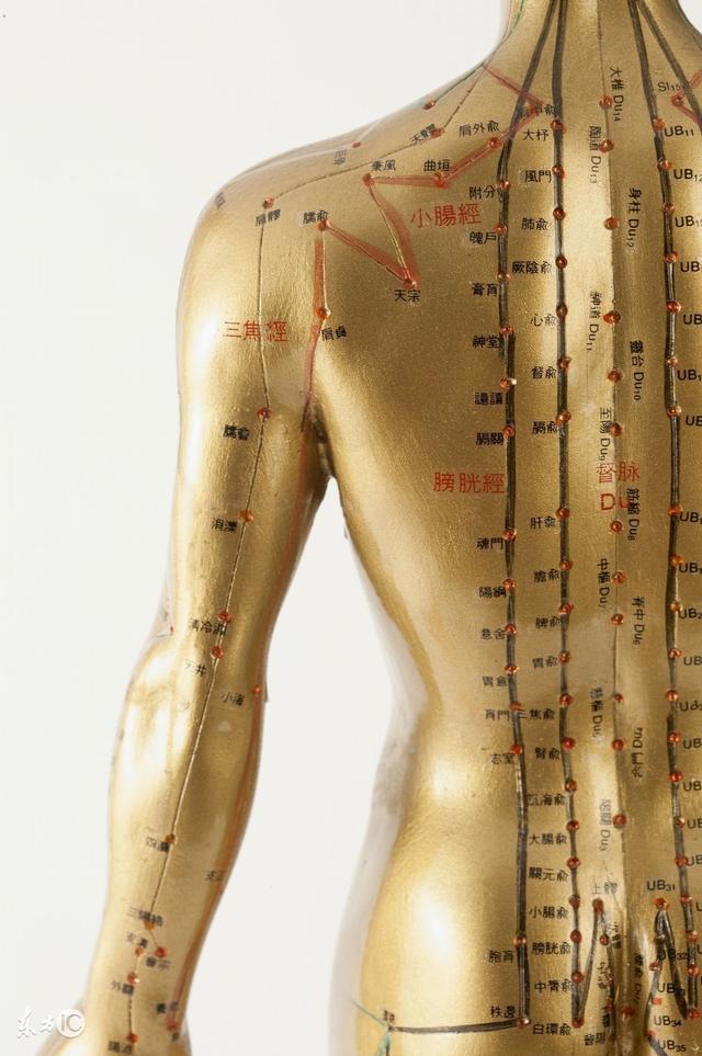 无需花费只要每天动态打坐10分钟就能打通全身经络何乐而不为?