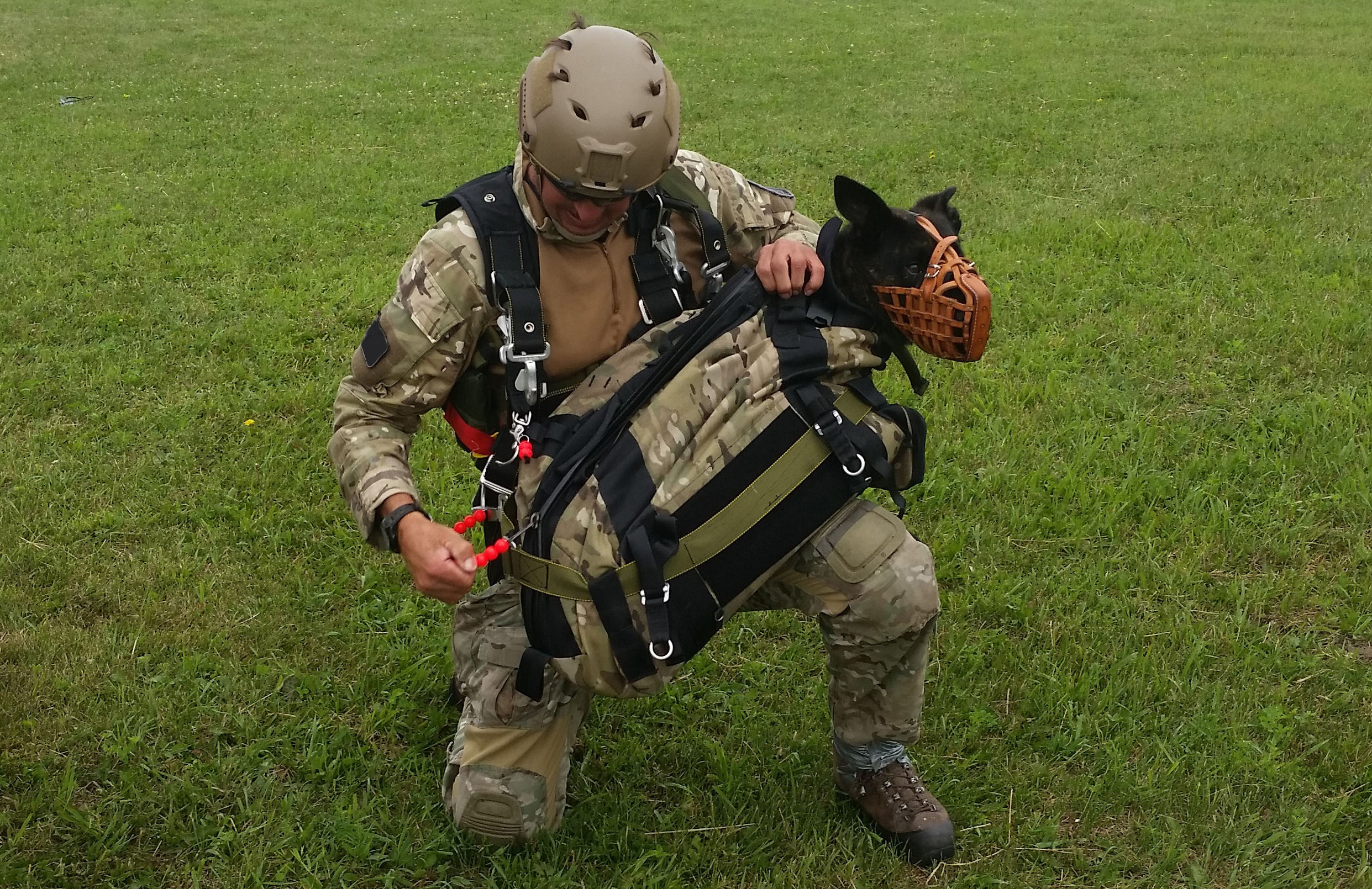 军犬跳伞表情销魂,图7表情淡定依旧,兵哥哥们都自叹不如