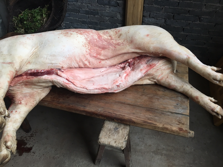 元旦过节回家,杀猪吃肉,氛围好