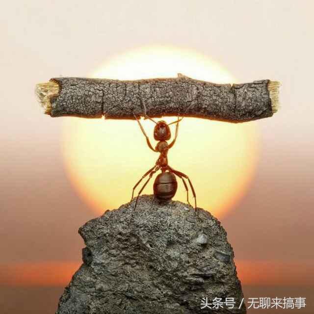 我一直在努力,倔强的不肯认输!