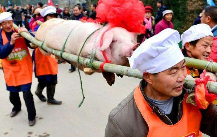 农村杀猪宴图片