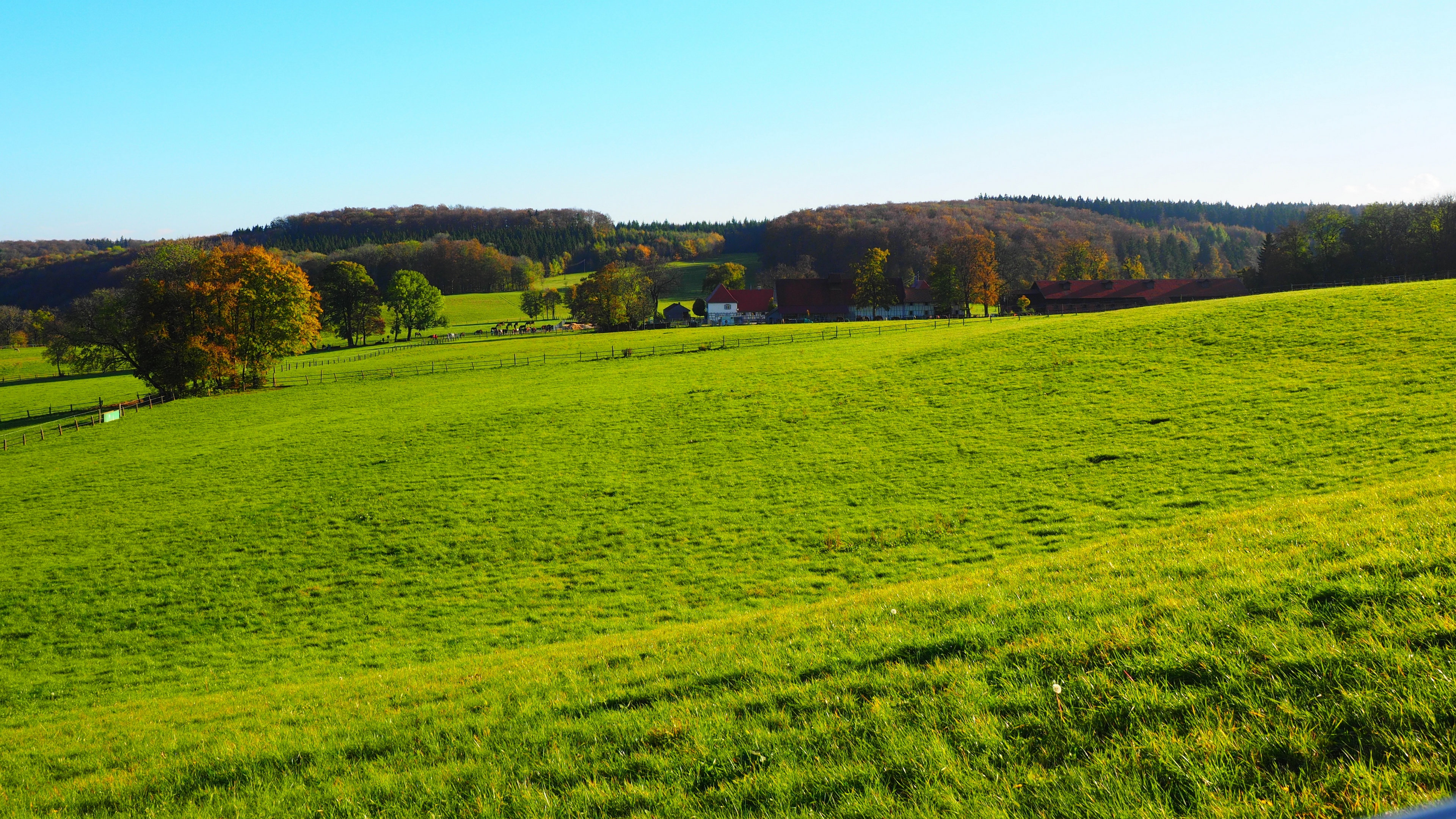 唯美的大草原,这里让我想起了那首《天堂》!