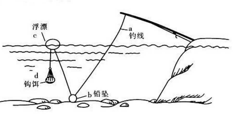 海竿带漂钓鲤鱼线组图图片