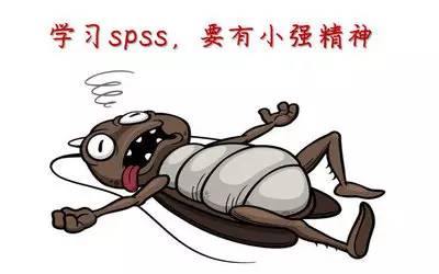 心得交流:学习spss要有"小强精神"