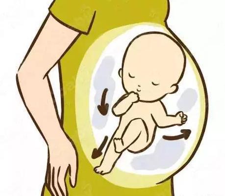 霸气宝宝还在母亲肚子里面的时候,都在干嘛?
