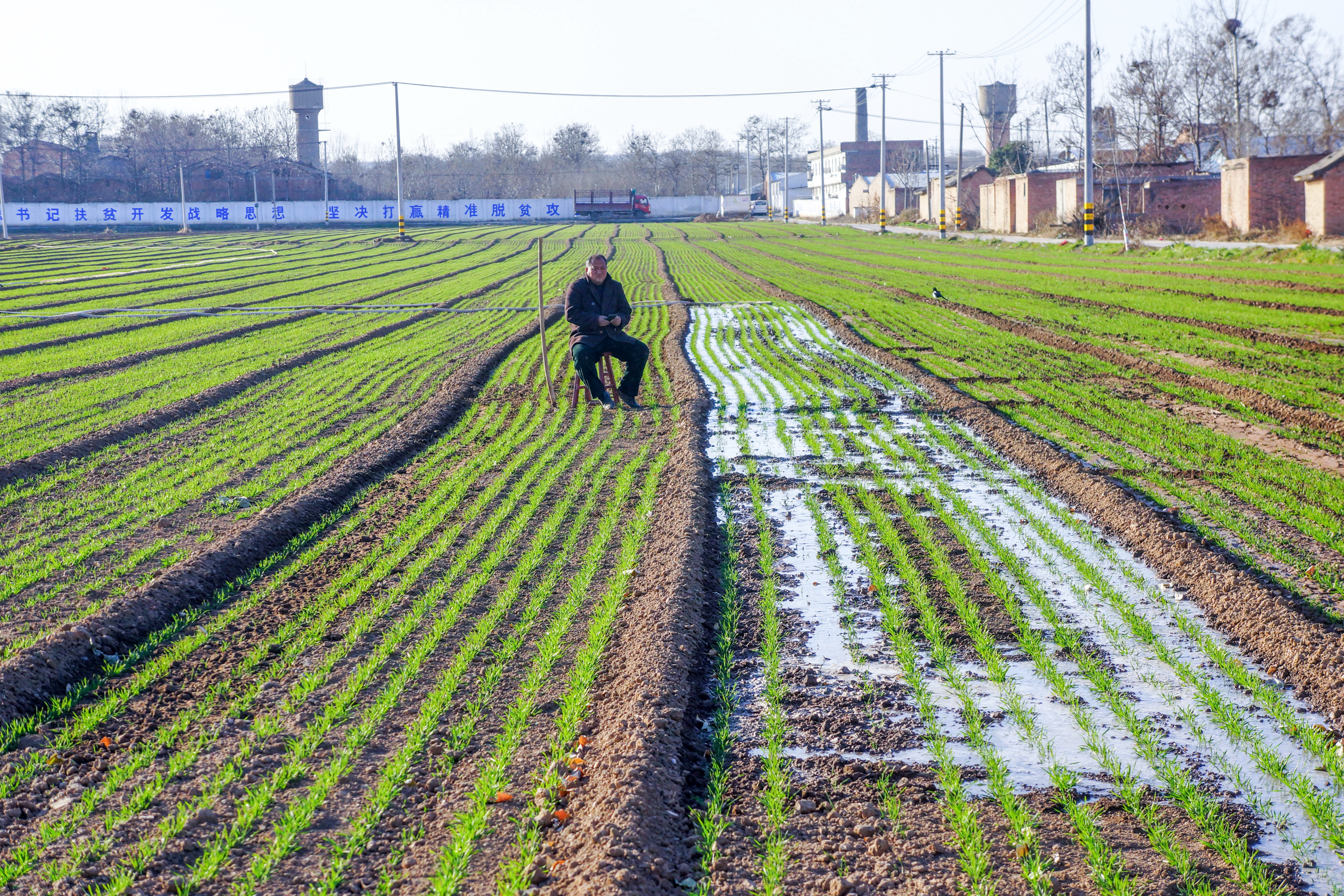 麦田"消遣"哥坐板凳浇地,笑称坐一天浇12亩挣60元不费力很满足