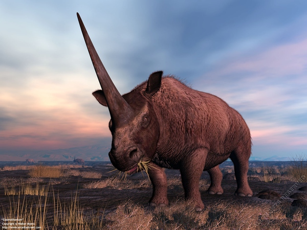 那些灭绝的史前巨兽:犀牛的祖宗们!