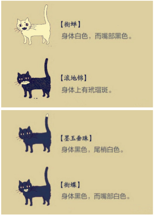 中国古代名猫谱图图片