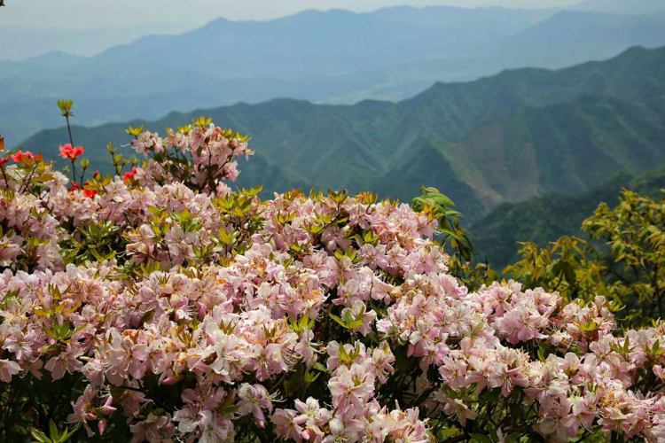 旌德黄高峰景区图片