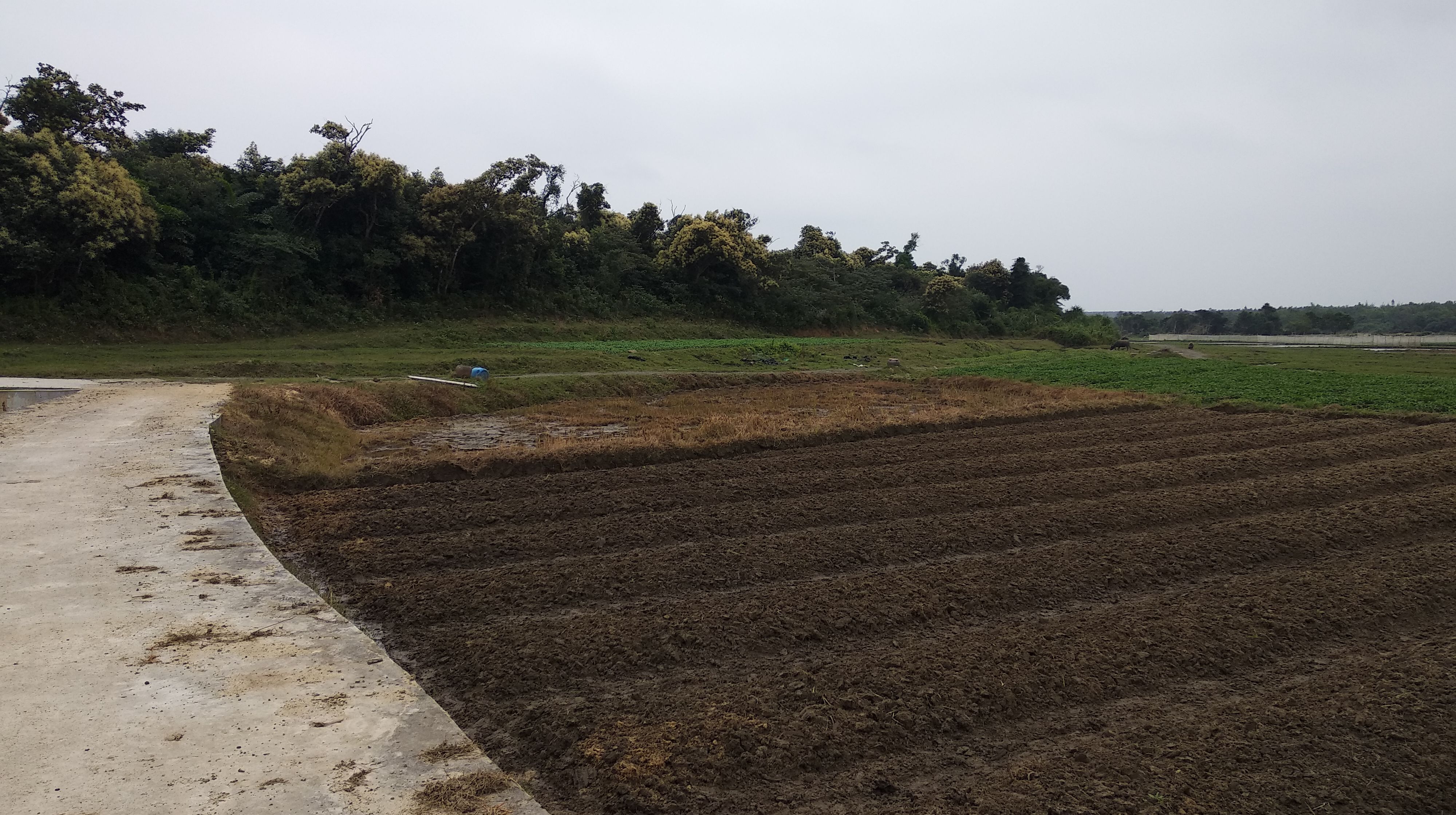 农民费了很大功夫把田地的垄搞得那么高,是不是有利于辣椒的生长