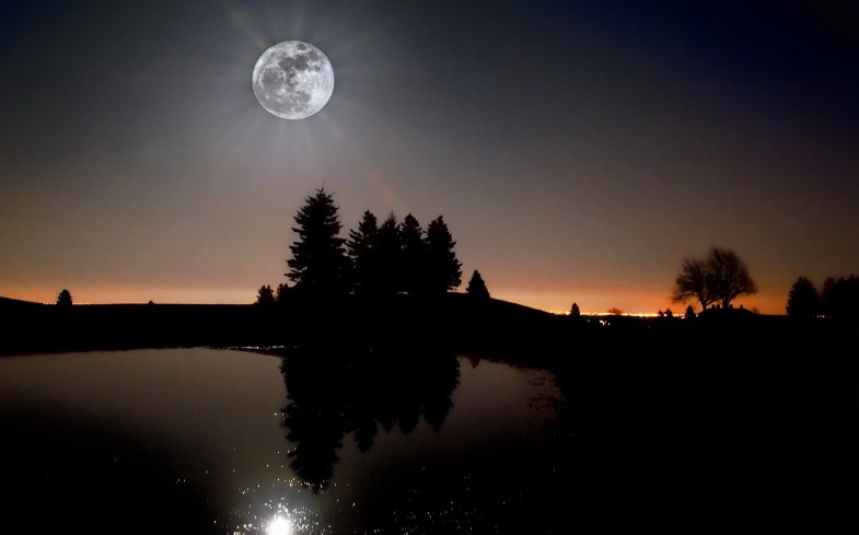 读睡诗歌《忧伤的月光》