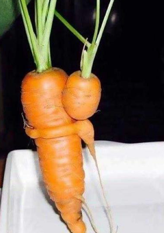 萝卜"成精了"?盘点那些奇葩造型的天然萝卜,最后一个太污了?