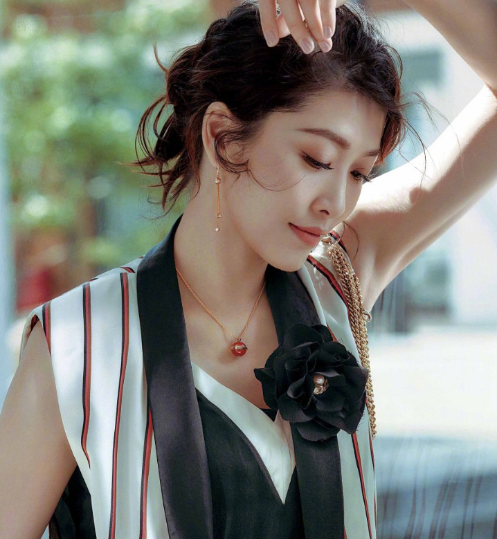 2014年,出演电视剧《卫子夫》饰演平阳公主.