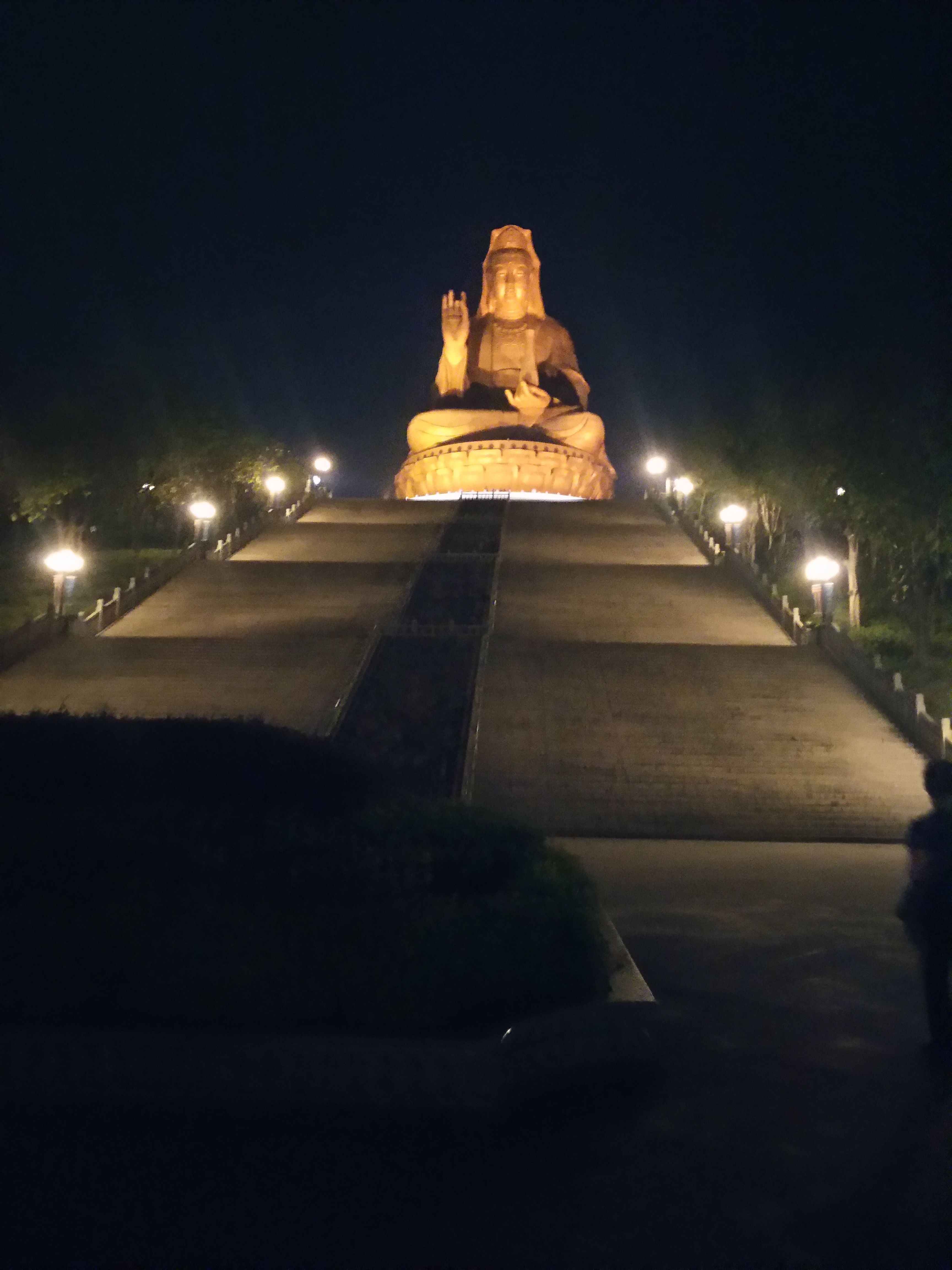 南海观音夜景图片