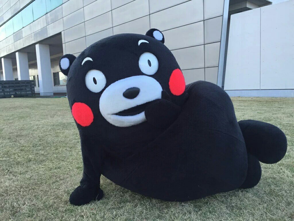 微信表情包"熊本熊"动画版未播先火