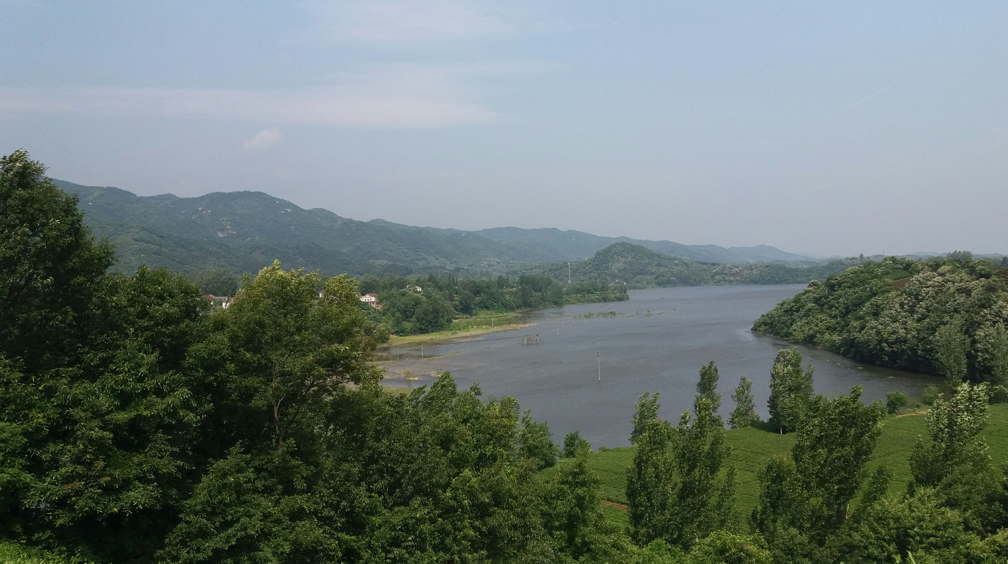 河南信陽:茶山,綠水好風光