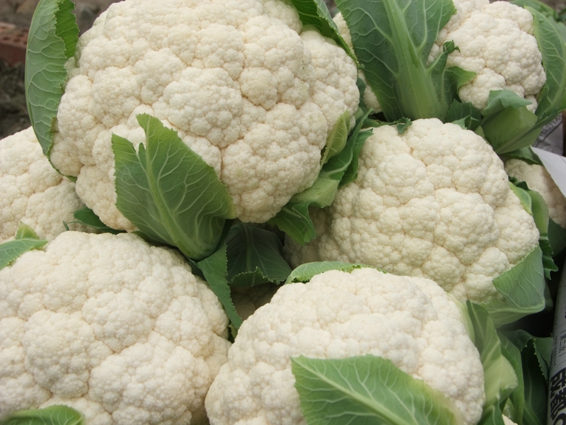 宝宝长生体时应多吃的几种蔬菜,营养价值想都不敢想!