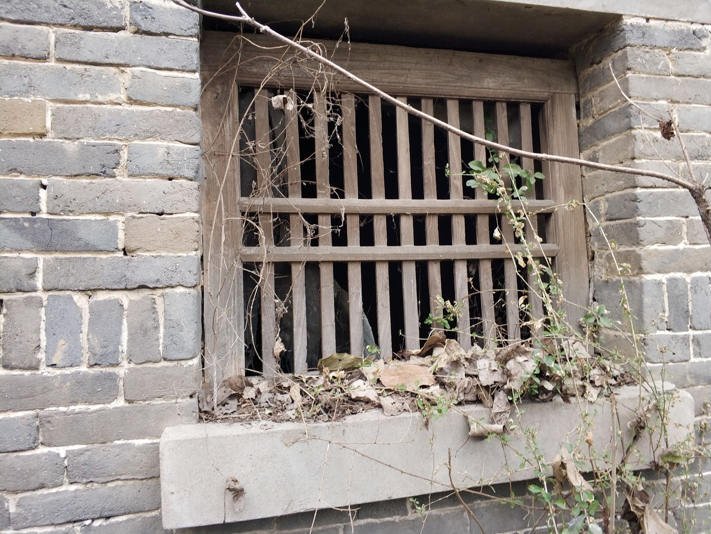 别人嘲笑这破院子,我却瞬间落泪,我连个这破院子都没有!