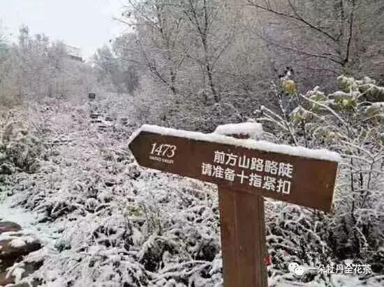 《一朵牡丹》之《飞雪煮酒,洛阳的冬天,周南驿》